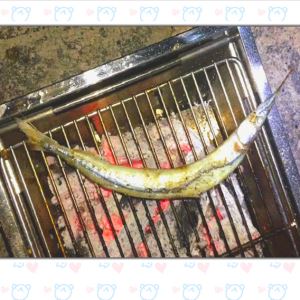 Easy Clean Folding Grill